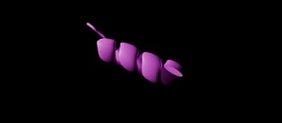 2° Alpha Helices