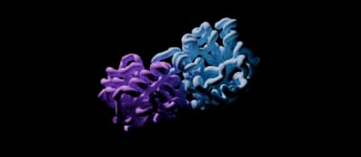 3° Folded protein