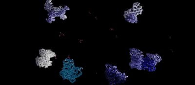 5° Human Proteome